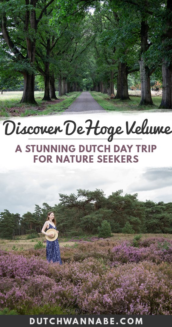 Discover De Hoge Veluwe national park in The Netherlands. It's a stunning Dutch day trip for nature seekers and the park has a lot of wildlife including red deer, boars and foxes.
